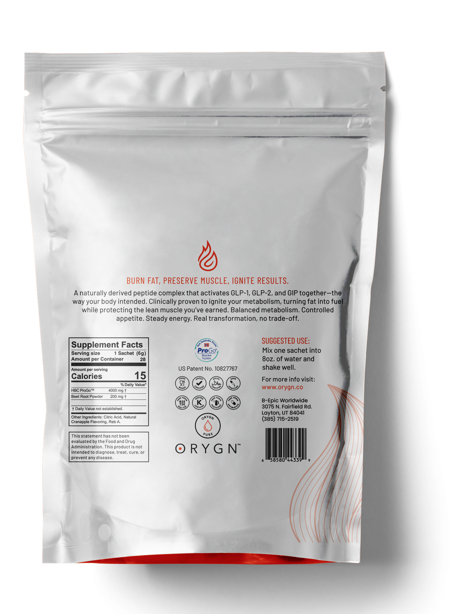 IGNYT back